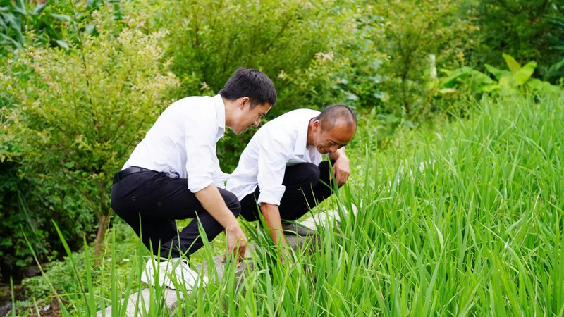 實(shí)踐團(tuán)隊(duì)深入田間地頭開展調(diào)研,。貴州醫(yī)科大學(xué)供圖